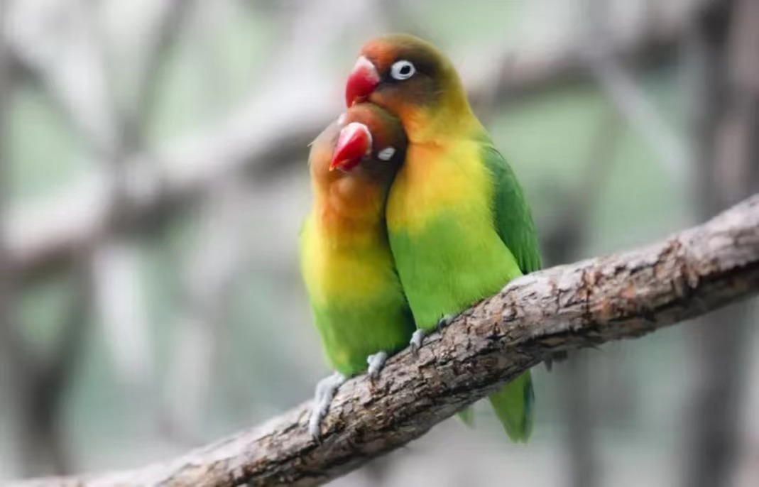10 Romantic Spots for Lovebirds on 520