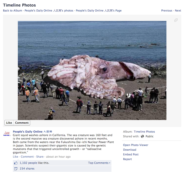 Fake giant squid