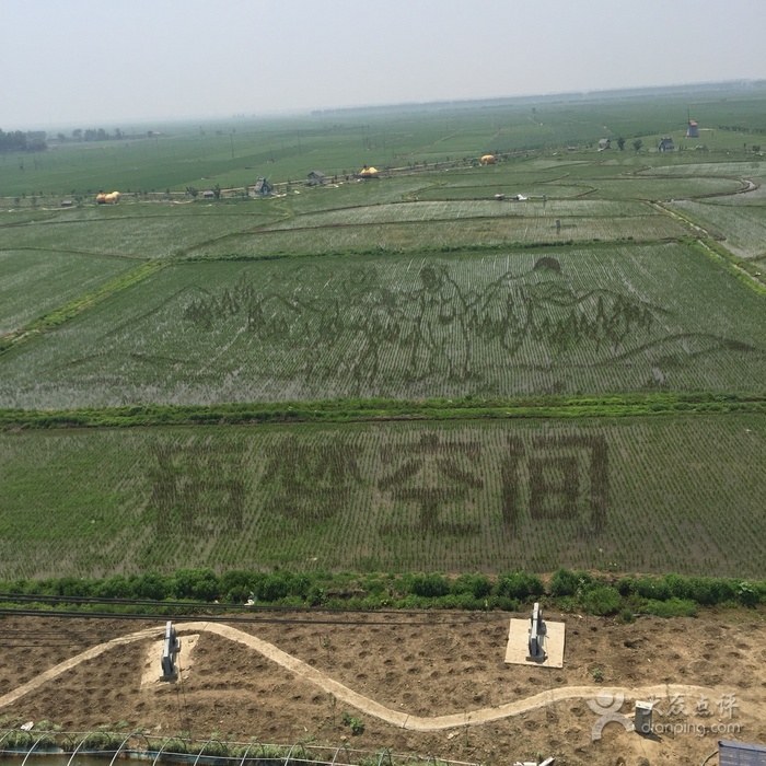 China rice paddy art