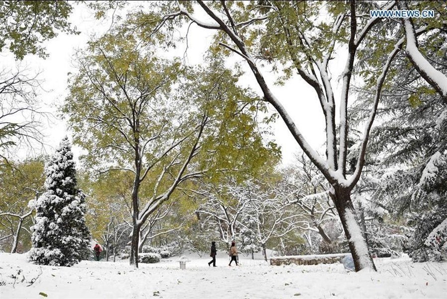 Snow in Tianjin park