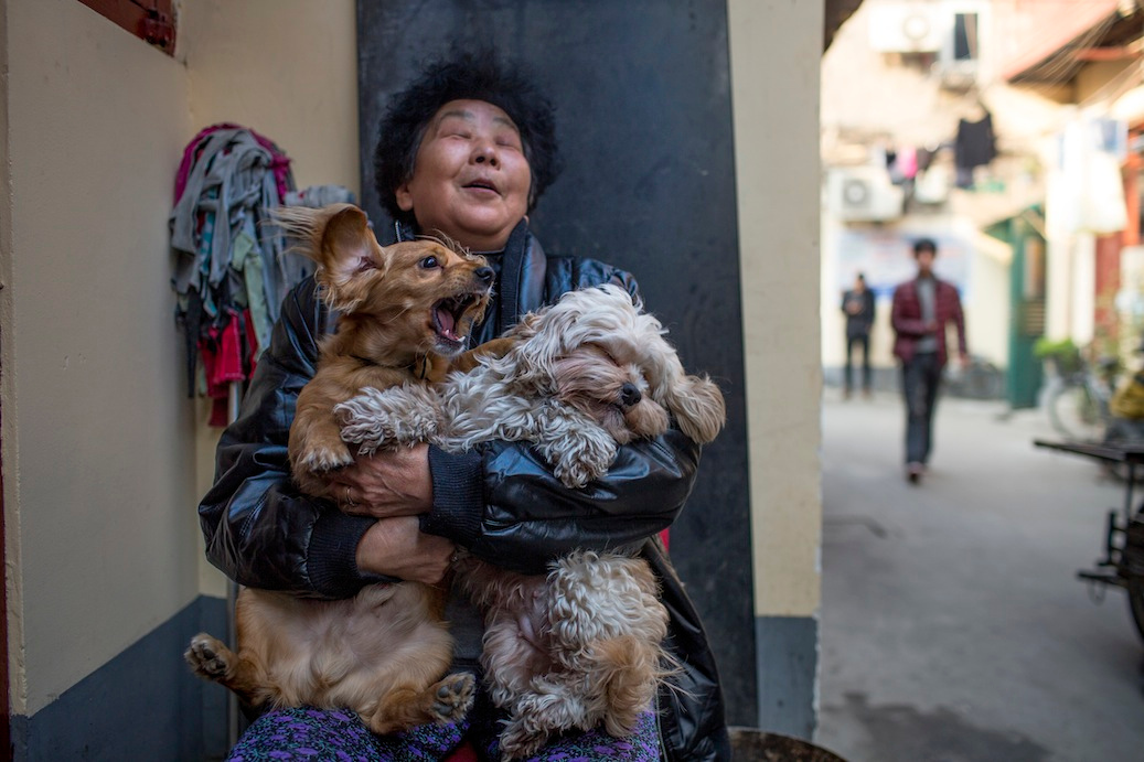 Old Shanghai, Nicky Almasy