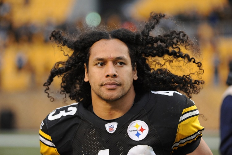 201511/troypolamalu1.jpg