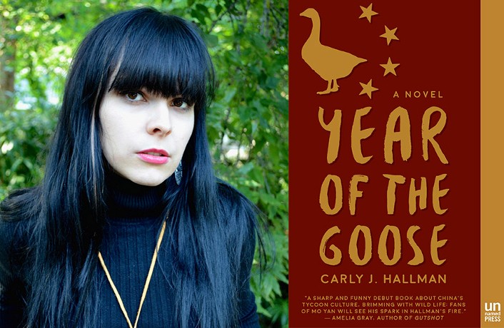 Book Review: Year of the Goose
