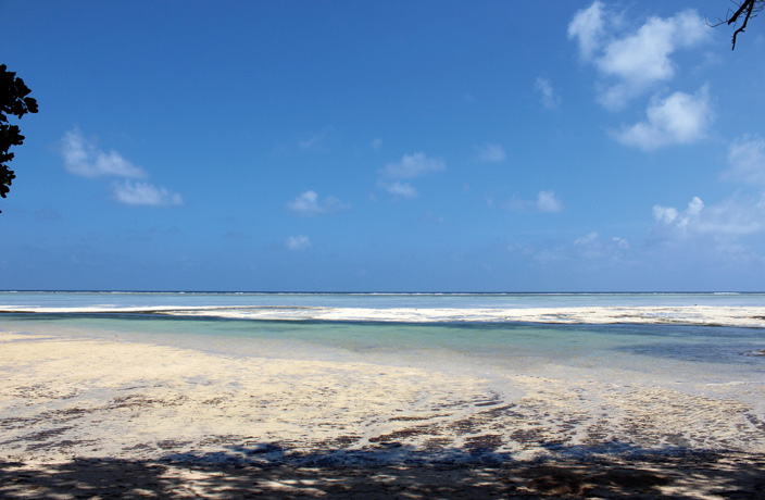 Palau-travel3.jpg