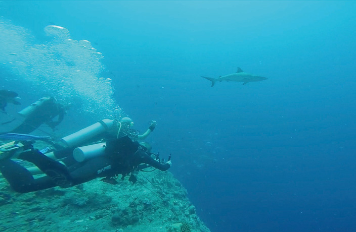 Palau-travel6.jpg