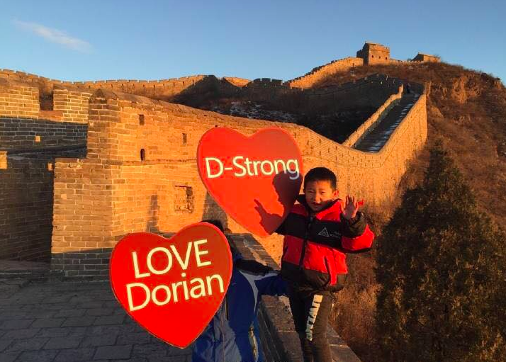 DStrong-GreatWall-1.png