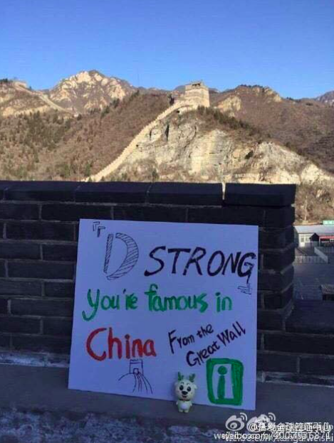 DStrong-GreatWall-2.png