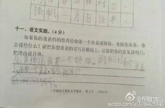 Chinese Students Say No To Siblings in Hilarious Essays
