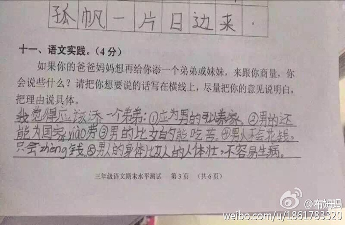 Chinese Students Say No To Siblings in Hilarious Essays