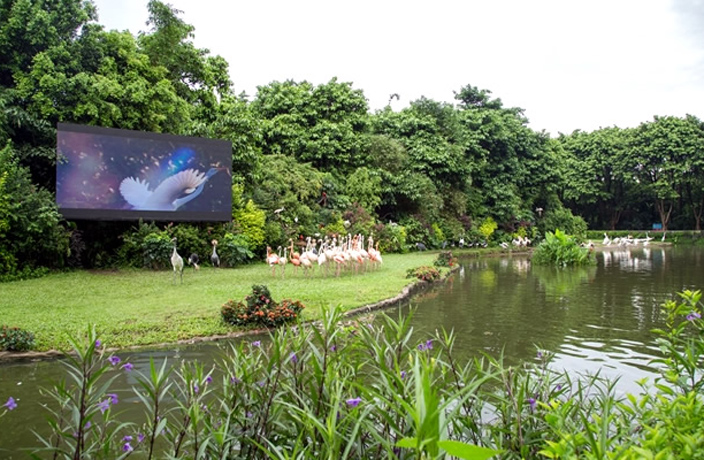 bird-park-1.jpg