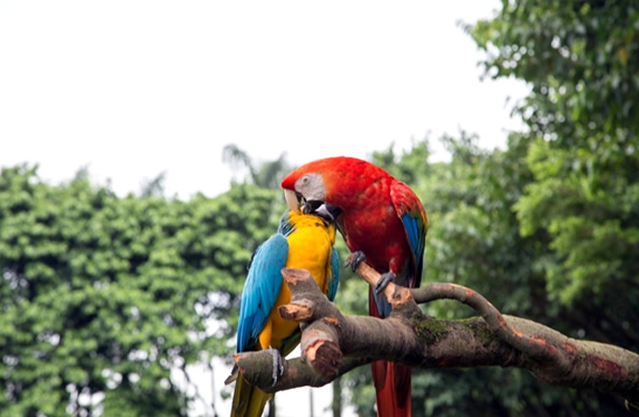 bird-park-2.jpg