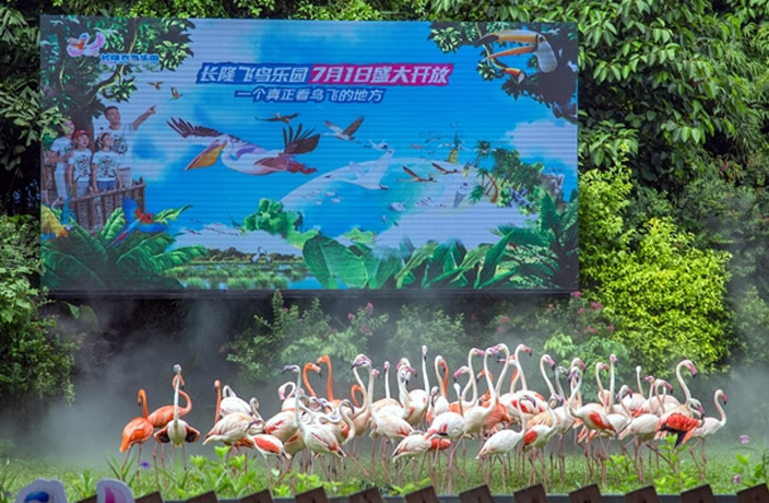 bird-park-3.jpg
