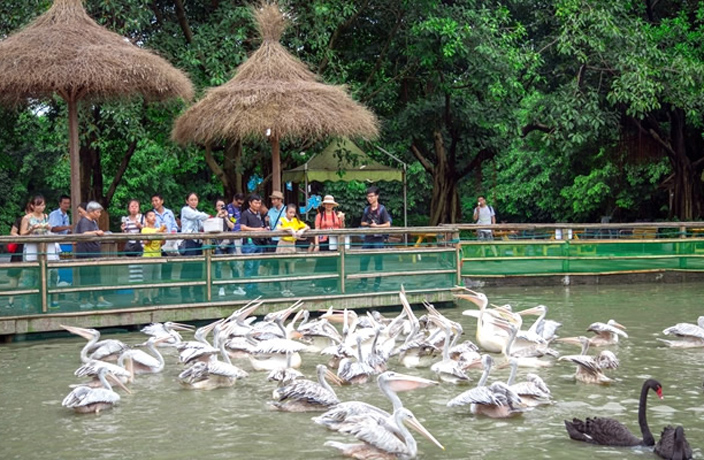 bird-park-4.jpg