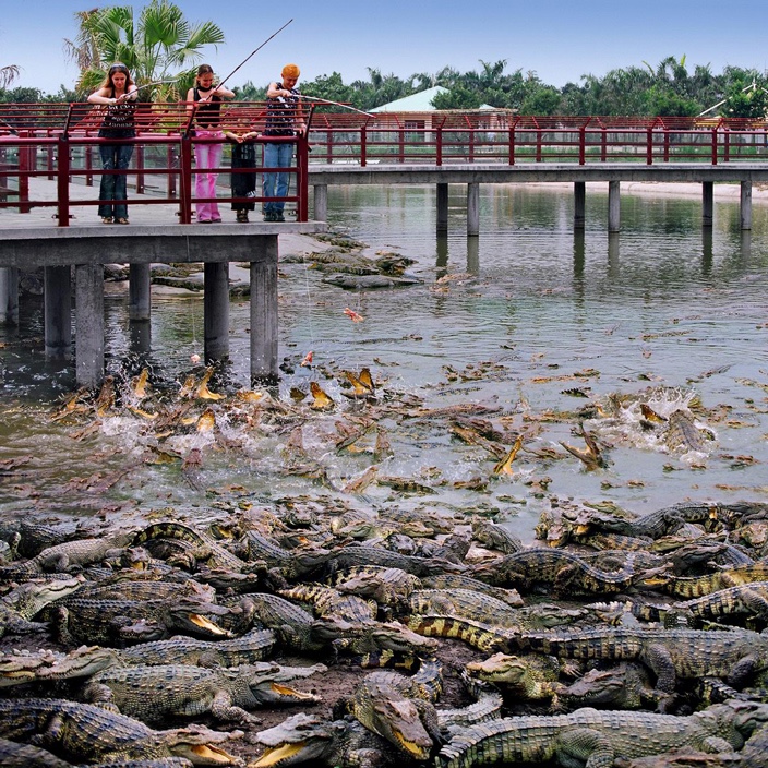crocodile-park.jpg