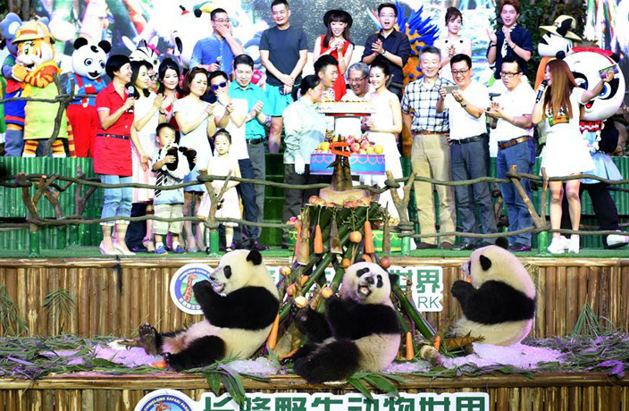 panda-birthday-3.jpg