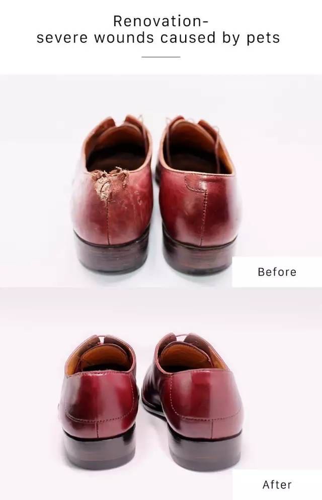 Repair Your Pet Damaged Shoes With, Can Scratched Leather Shoes Be Repaired