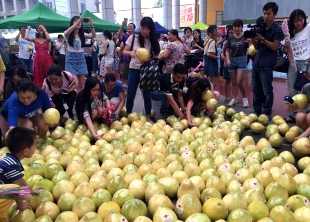 crowd-snatches-up-pomelos
