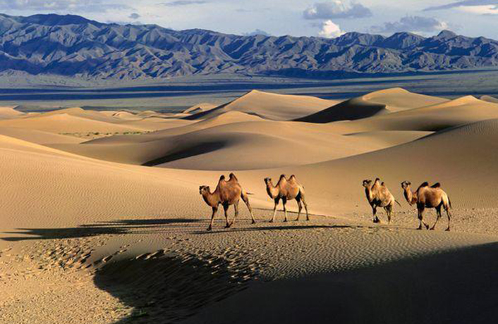 Silk Road Gobi Desert
