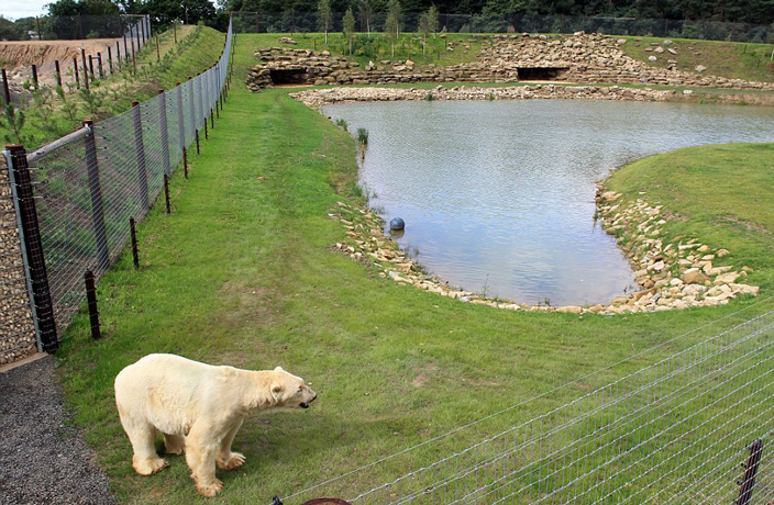 polar-bear-sanctuary.jpg