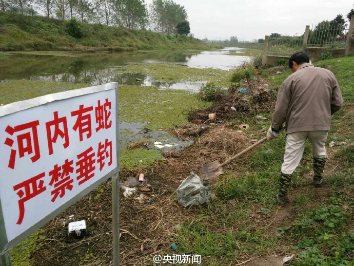 Over 50 cobras missing in Nanjing
