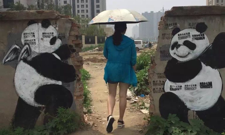 Pandas Beijing Qi Xinghua