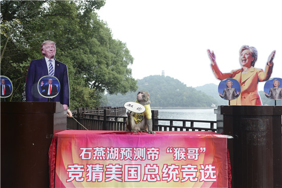 Monkey Predicts US Presidential Election Winner in Hunan