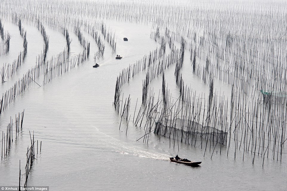 Gorgeous Photos Capture Charming Chinese Fishing Village  