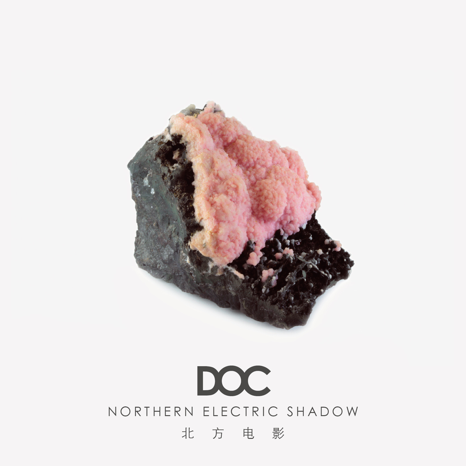 DOC: Northern Electric Shadow