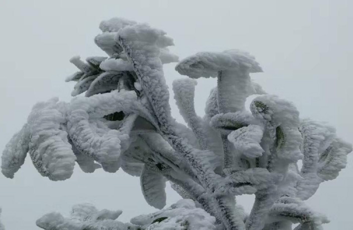 Brave-Man-Goes-Shirtless-on-Icy-Guangdong-Mountaintop-4.jpg