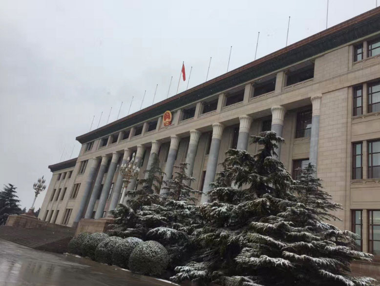 PHOTOS: Beijing Sees First Snow of the Season