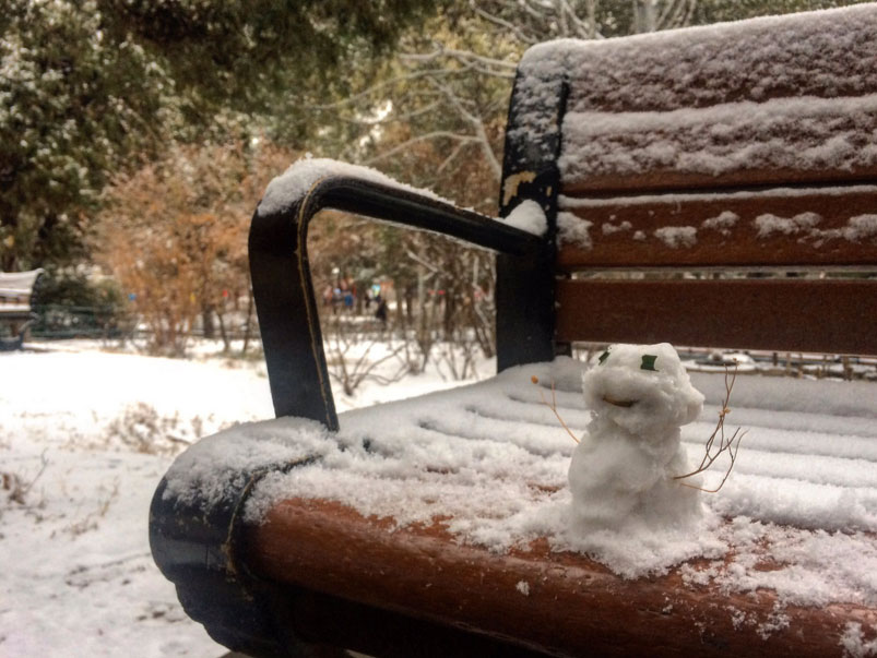 PHOTOS: Beijing Sees First Snow of the Season