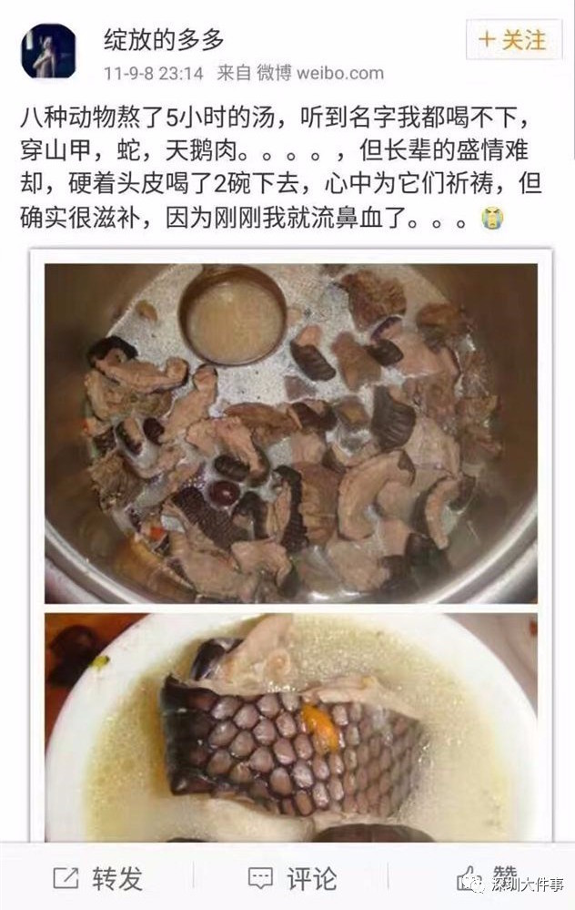 pangolin stew weibo snake swan