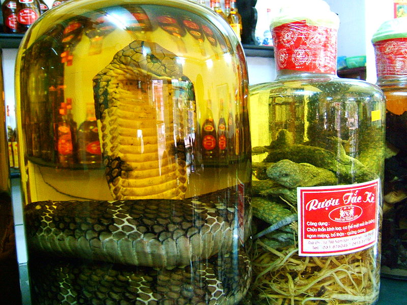 snake-wine.jpg