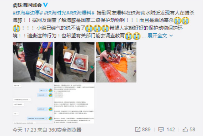 Dolphin-Butchered-and-Beheaded-in-Guangdong-1.png