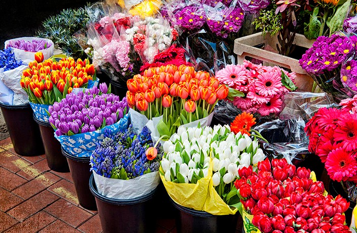 7 Great Flower and Plant Markets in Beijing