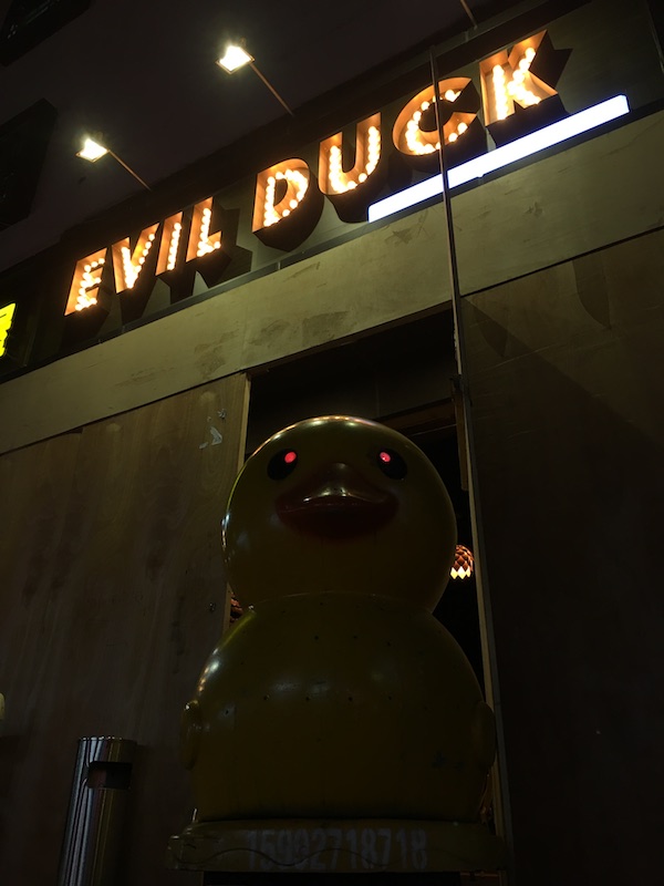 evil-duck-outside.JPG