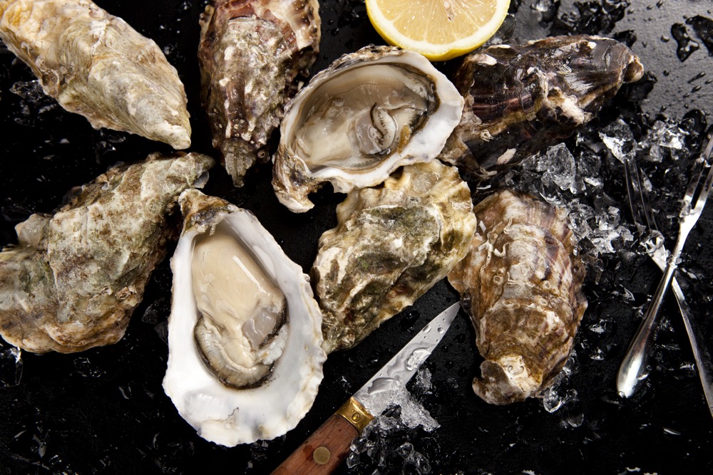 grand-oysters-selection-1.jpg