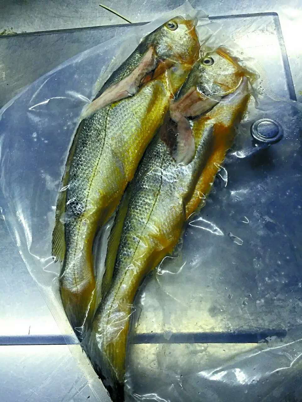 yellow croaker fish at an OCT Harbour restaurant