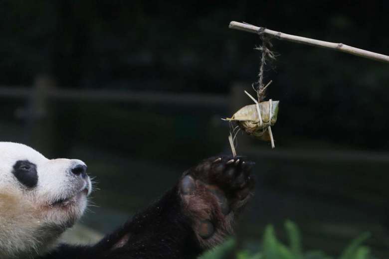 PHOTOS: Dragon Boat Festivities Around China