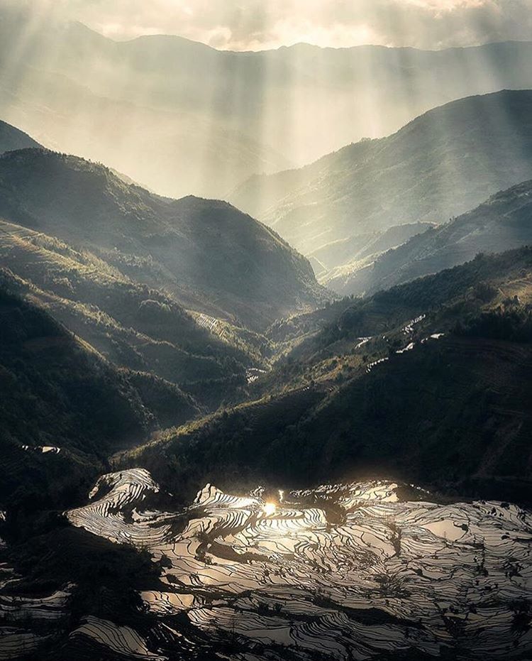 Rice terraces of Yunnan by @kyon.j