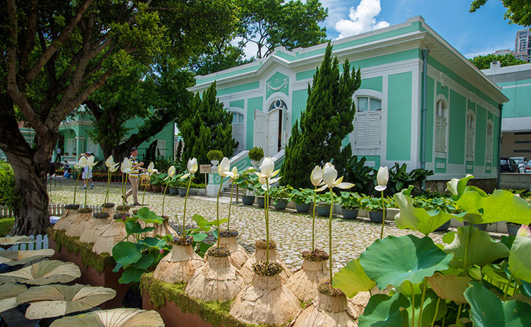 Macau Lotus Festival