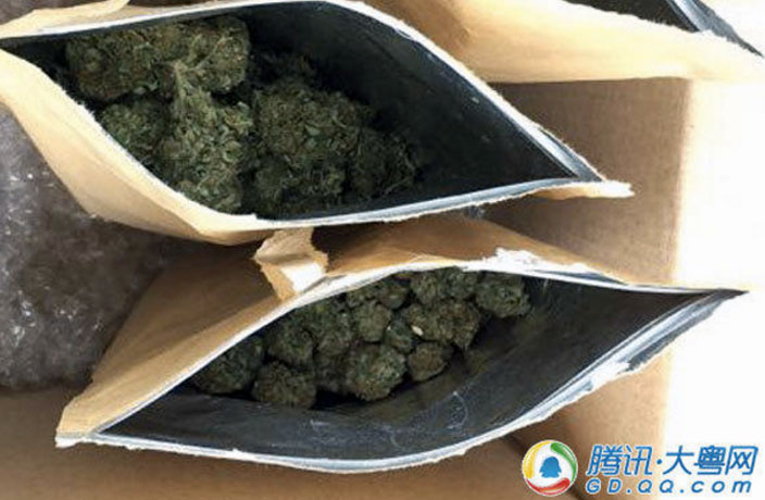 11-Foreign-Pot-Dealers-Arrested-in-Guangzhou-2.jpg