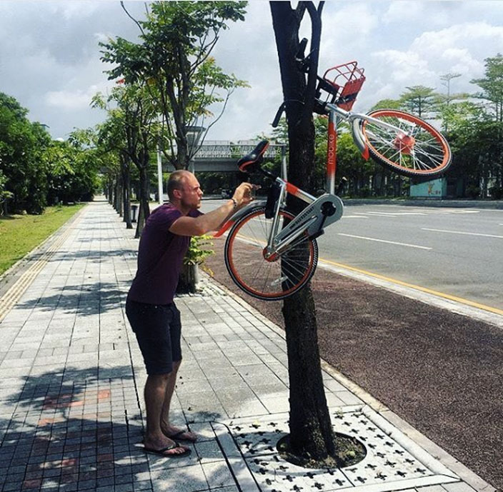 instagram-of-the-week-jun-30-bike-in-tree.jpg