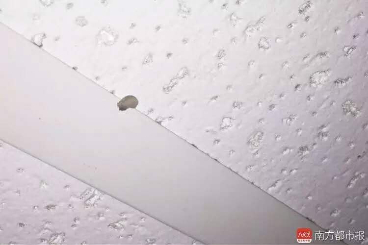 mcdonald-s-maggot-ceiling.jpg