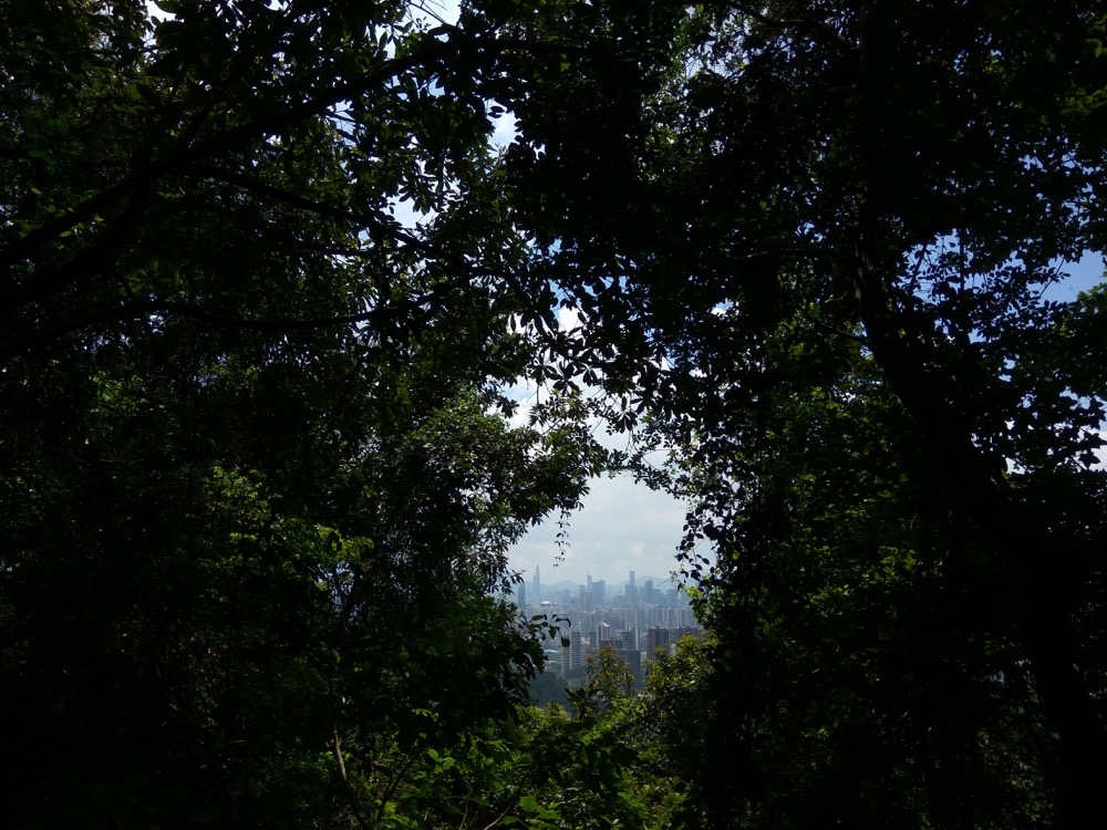 meilin-mountain-park-peek-city.jpg