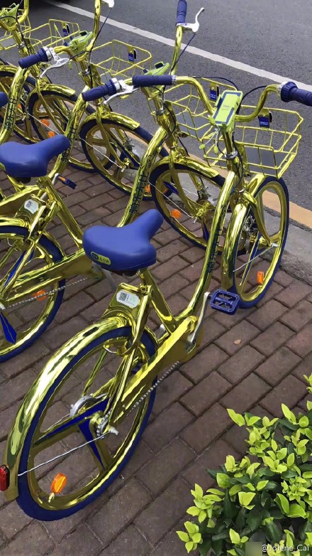 Tuhao Gold Shared Bikes