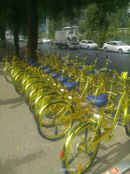 Tuhao Gold Shared Bikes
