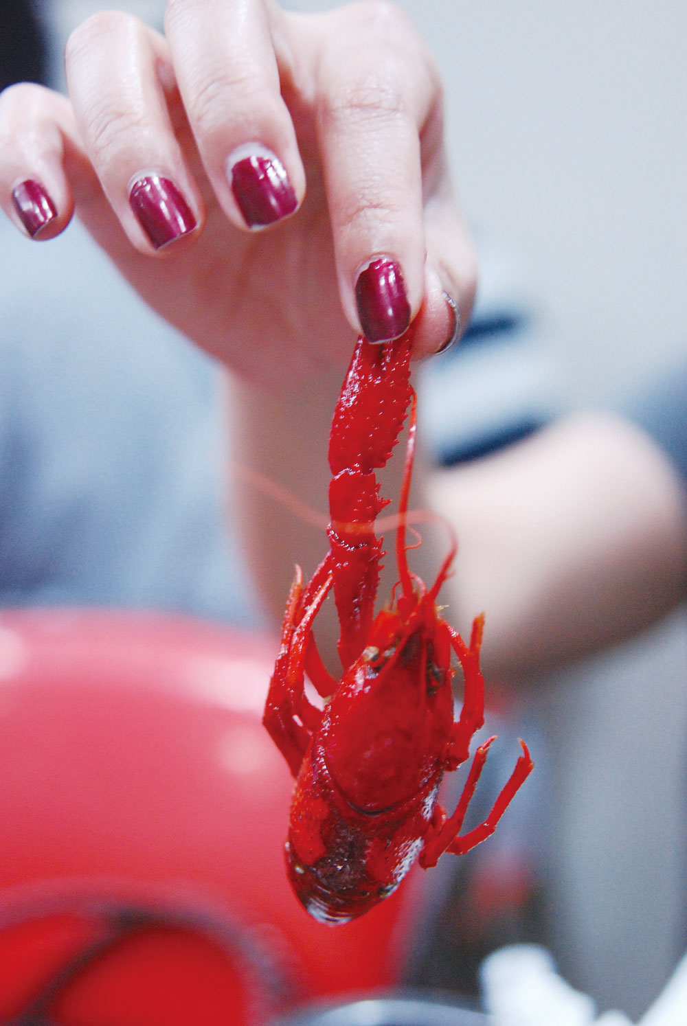Crayfish (xiaolongxia) in Shanghai