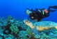 China International Diving Expo
