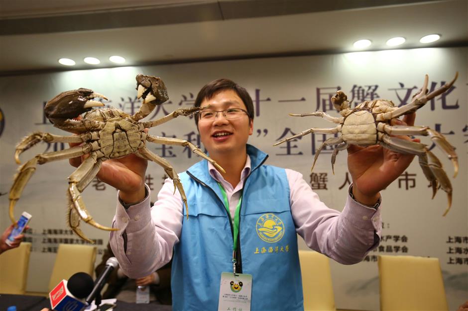 Massive Hairy Crabs Crowned 'King and Queen' in Shanghai Contest
